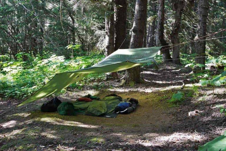 Tarp Camping Beginner's Guide to Finding the Perfect Pitch, Kit & Setup
