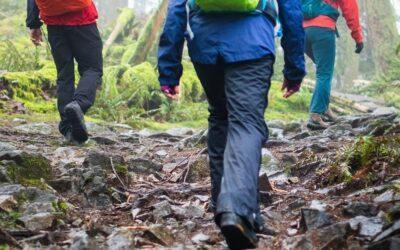 Top 7 Waterproof Hiking Pants for Any Type of Outdoor Adventure