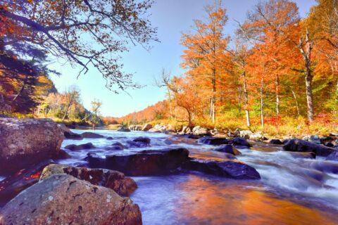 Where To See The Best New York Fall Foliage? - The Hiking Adventure