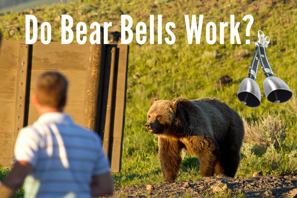 An inquisitive bear looks at a hiker next to a sign with bear bells illustrated, under the question 'Do Bear Bells Work