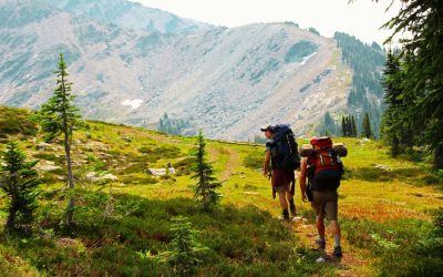 No Barriers Warriors for Veterans: A Journey of Resilience and Triumph