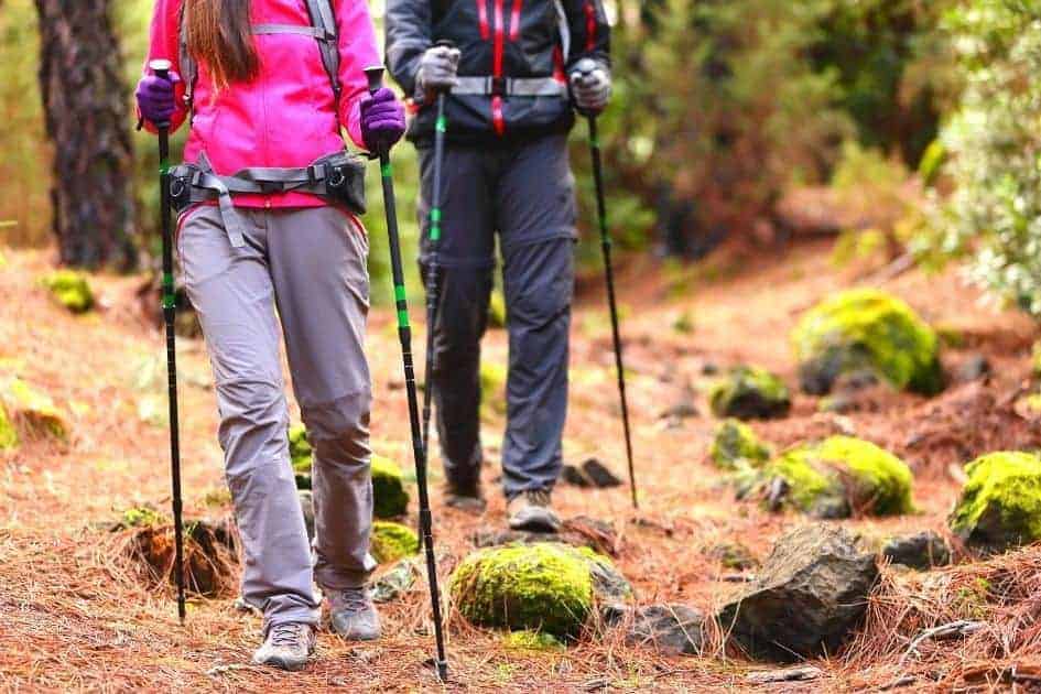 Two hikers using trekking poles on a forest trail