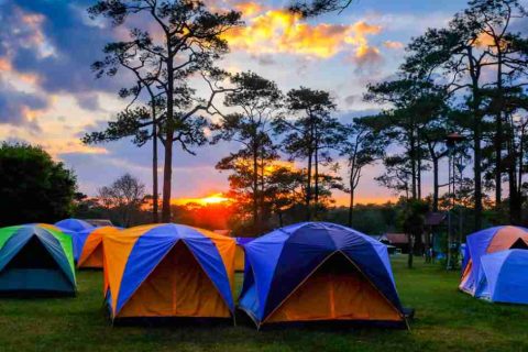 21 Best Camping Games for Adults to Enjoy Outdoors