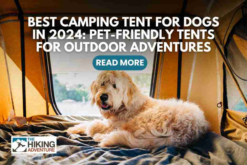 Camping With Dogs: Get the Best Tent Now - Portable Dog Tent For Trekking